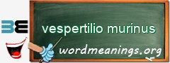 WordMeaning blackboard for vespertilio murinus